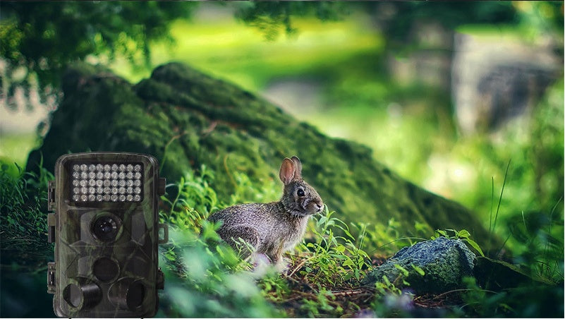 Wildlife Hunting Trail Camera Outdoor Night Vision Camera
