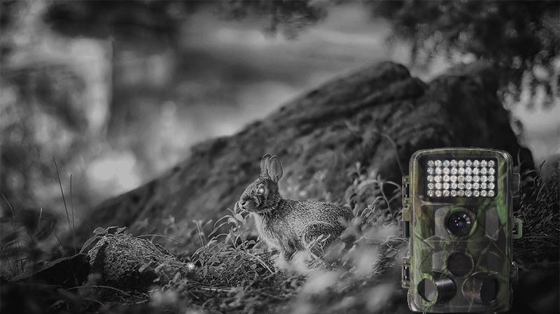 Wildlife Hunting Trail Camera Outdoor Night Vision Camera