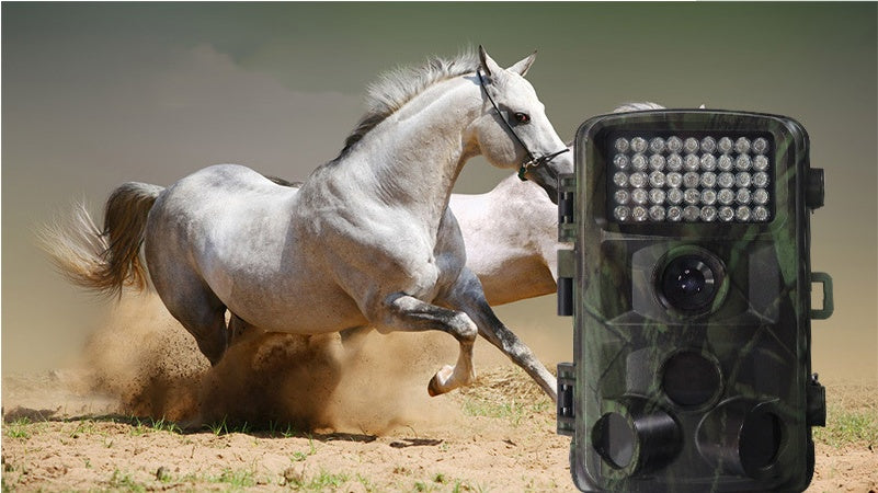 Wildlife Hunting Trail Camera Outdoor Night Vision Camera